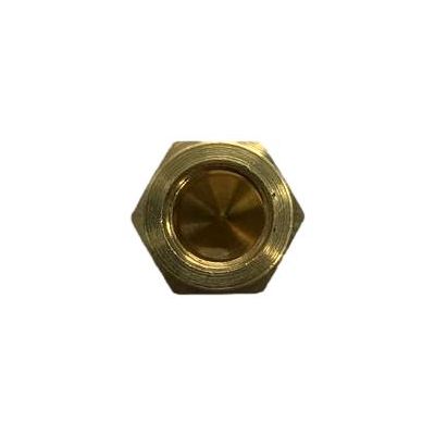 ICEAGE BFCN-1/4 CAP NUT 1/4"