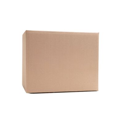 73009 CLEAR SILICONE