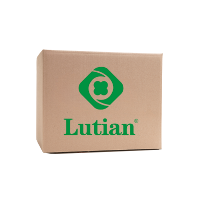 LUTIAN LT220-1200 PRESSURE WASHER