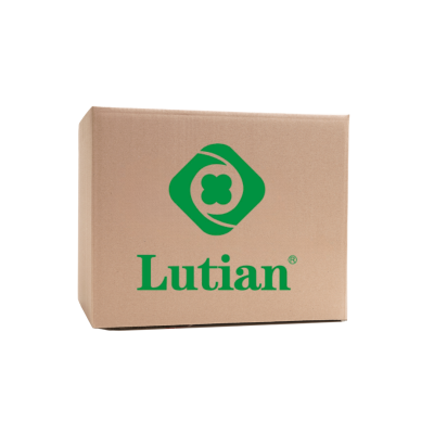 LUTIAN C-17 CHECK VALVE ASSEMBLY